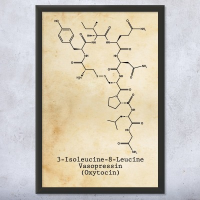 Oxytocin Molecule Wall Art