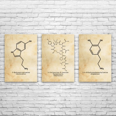 Neurotransmitter Molecules Wall Art Set of 3